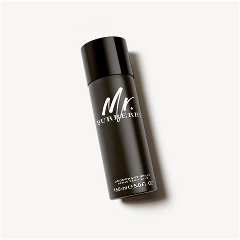 mr burberry body spray